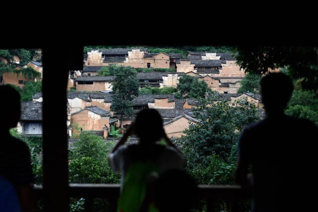 动物帮帮忙保卫家园